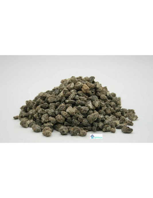 Incense grains Sumatran benzoin (Styrax benzoin)